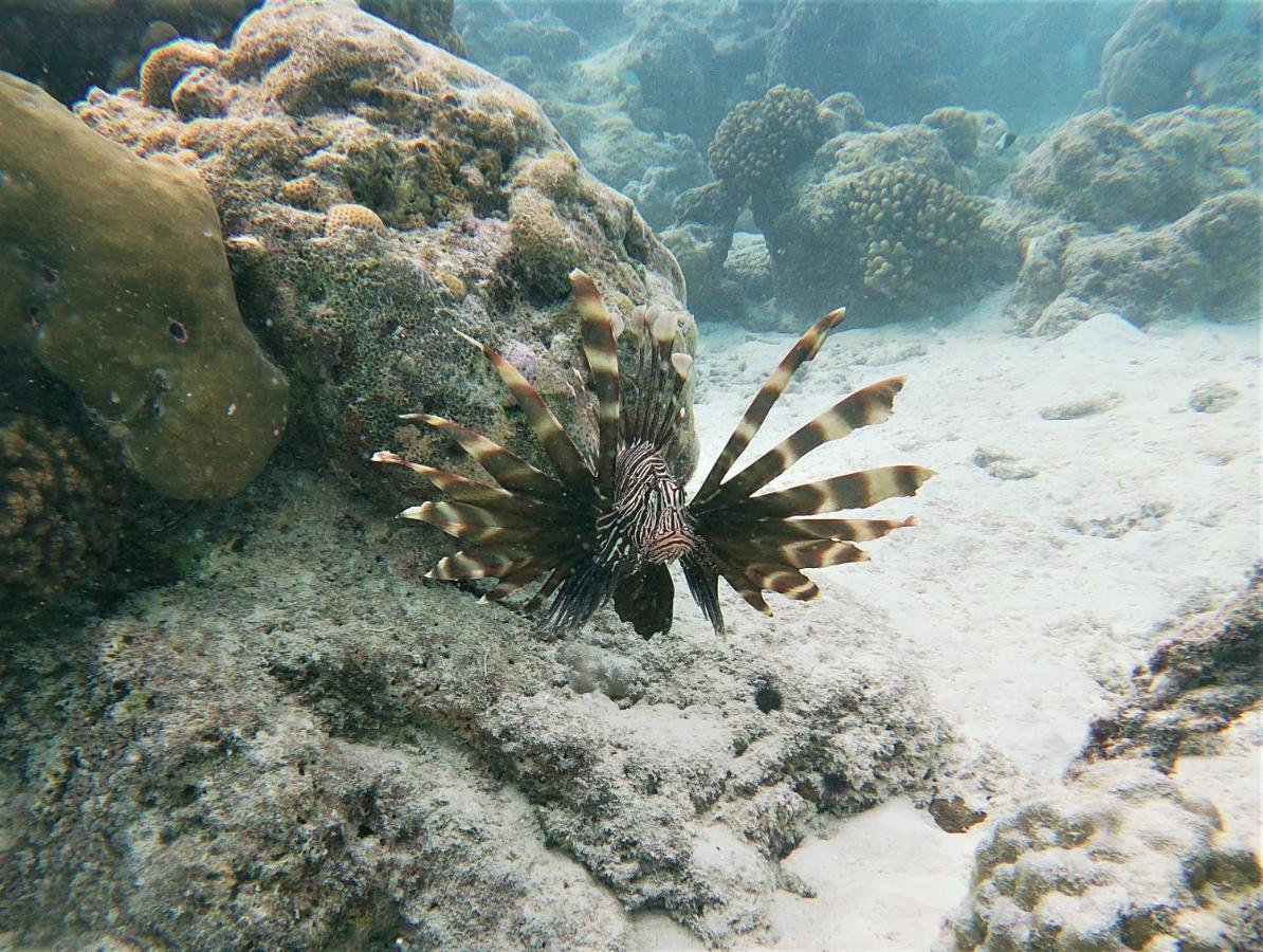 One The Island Naifaru Exterior foto