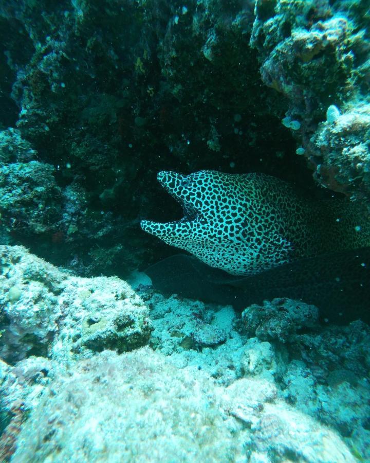 One The Island Naifaru Exterior foto