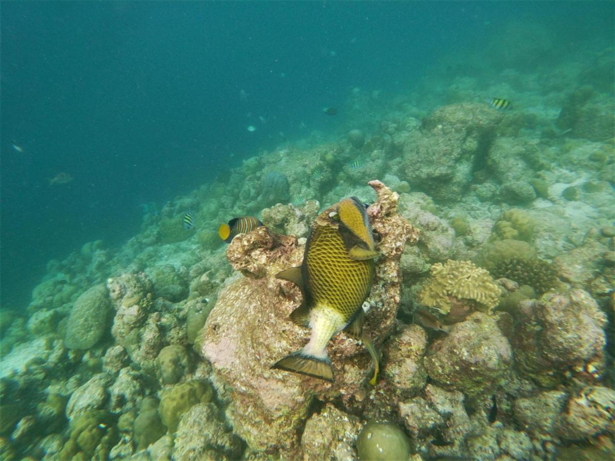 One The Island Naifaru Exterior foto