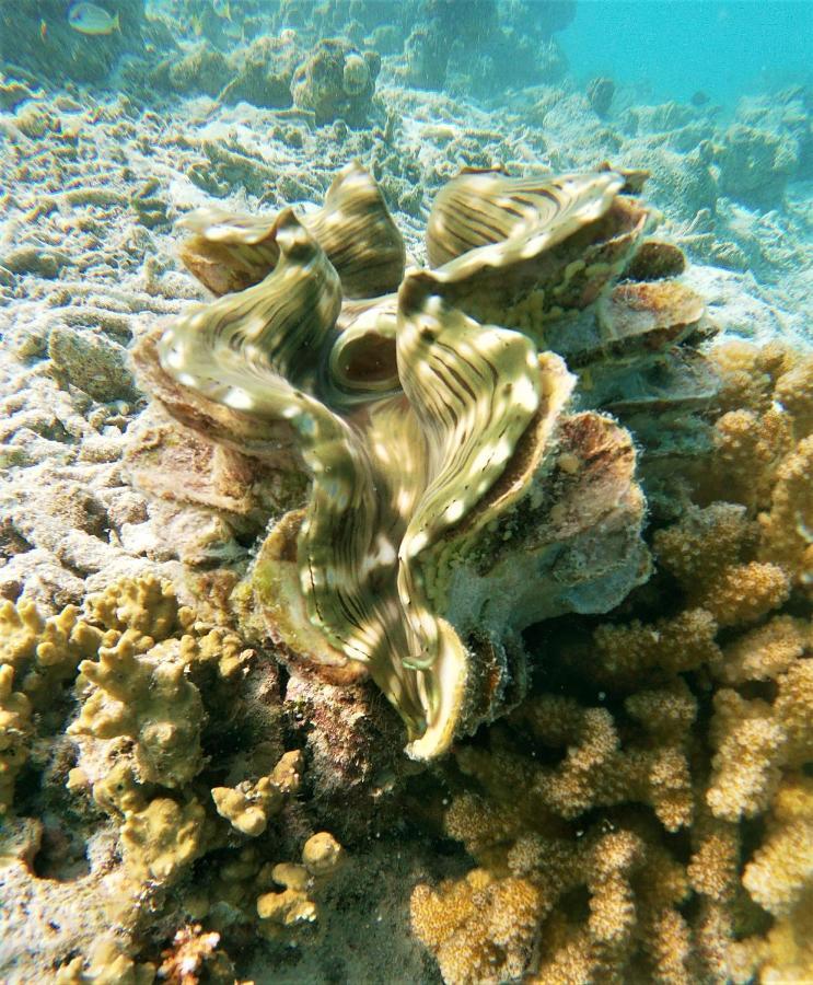 One The Island Naifaru Exterior foto