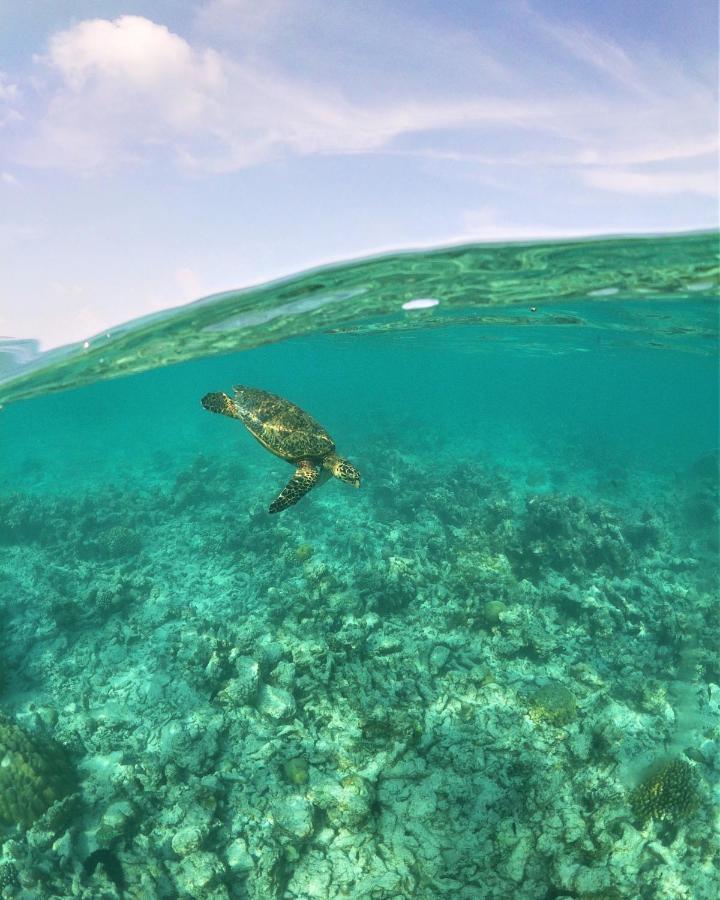 One The Island Naifaru Exterior foto