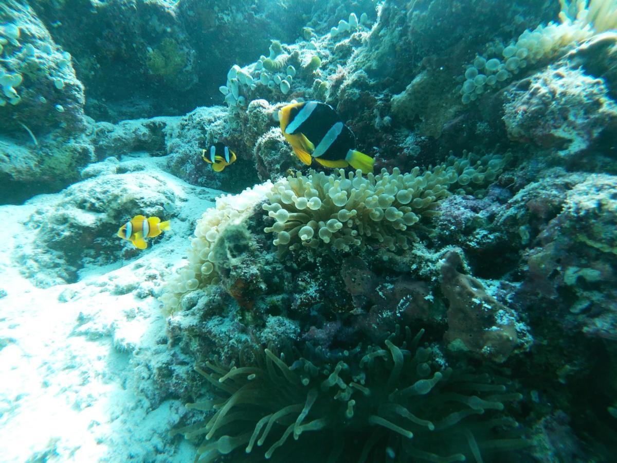 One The Island Naifaru Exterior foto