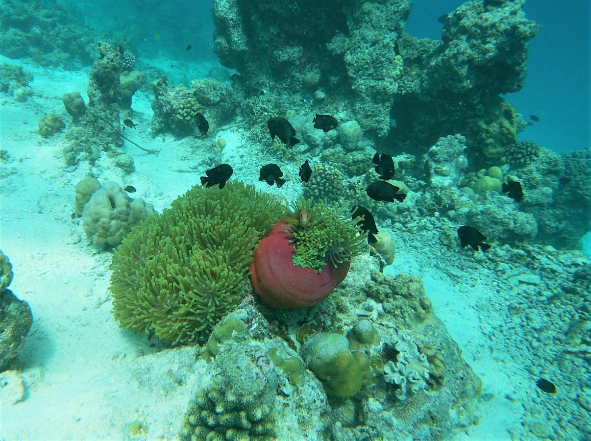 One The Island Naifaru Exterior foto