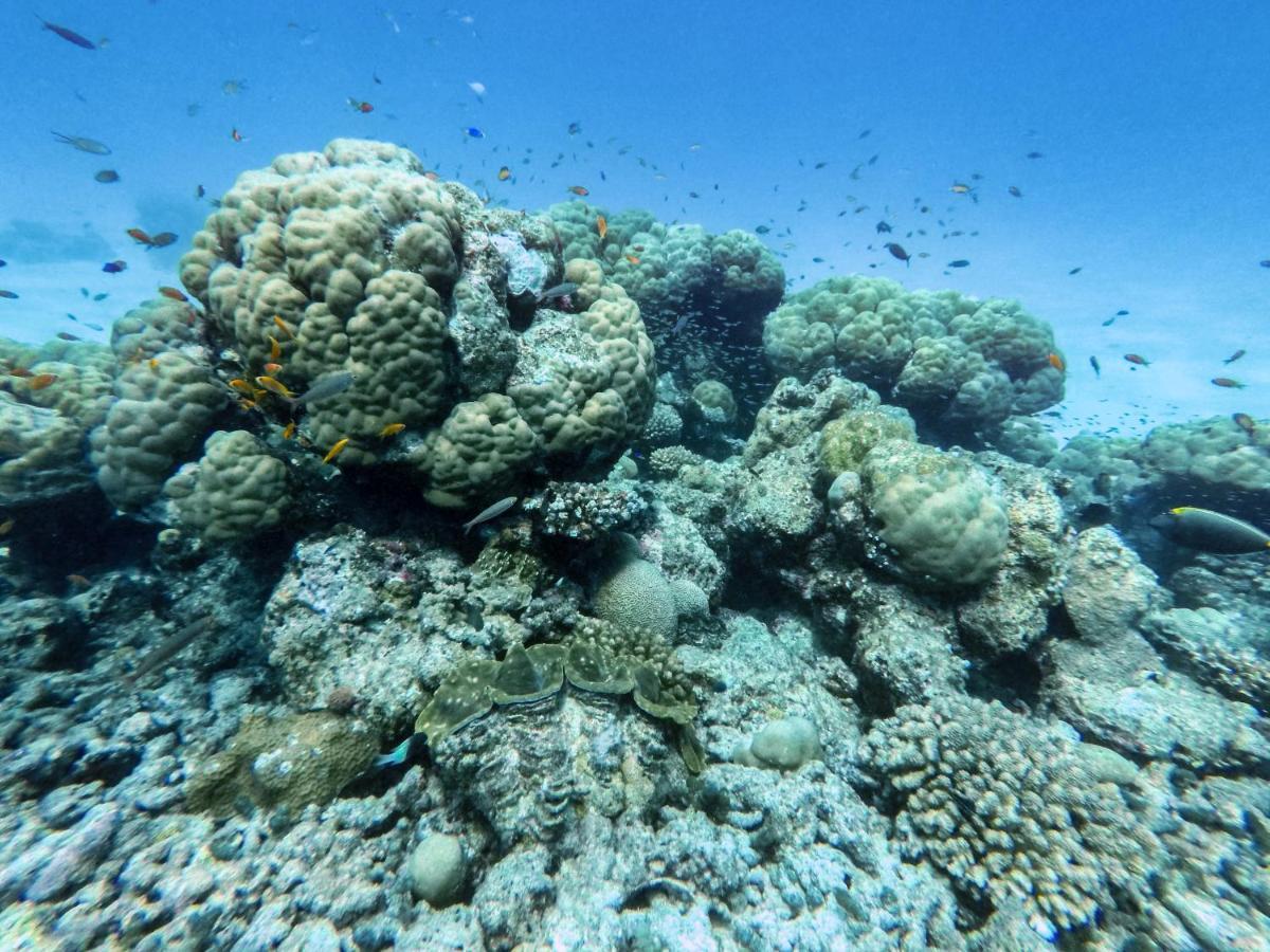 One The Island Naifaru Exterior foto