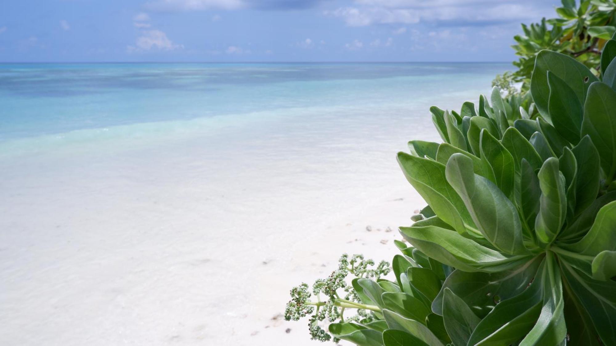 One The Island Naifaru Exterior foto