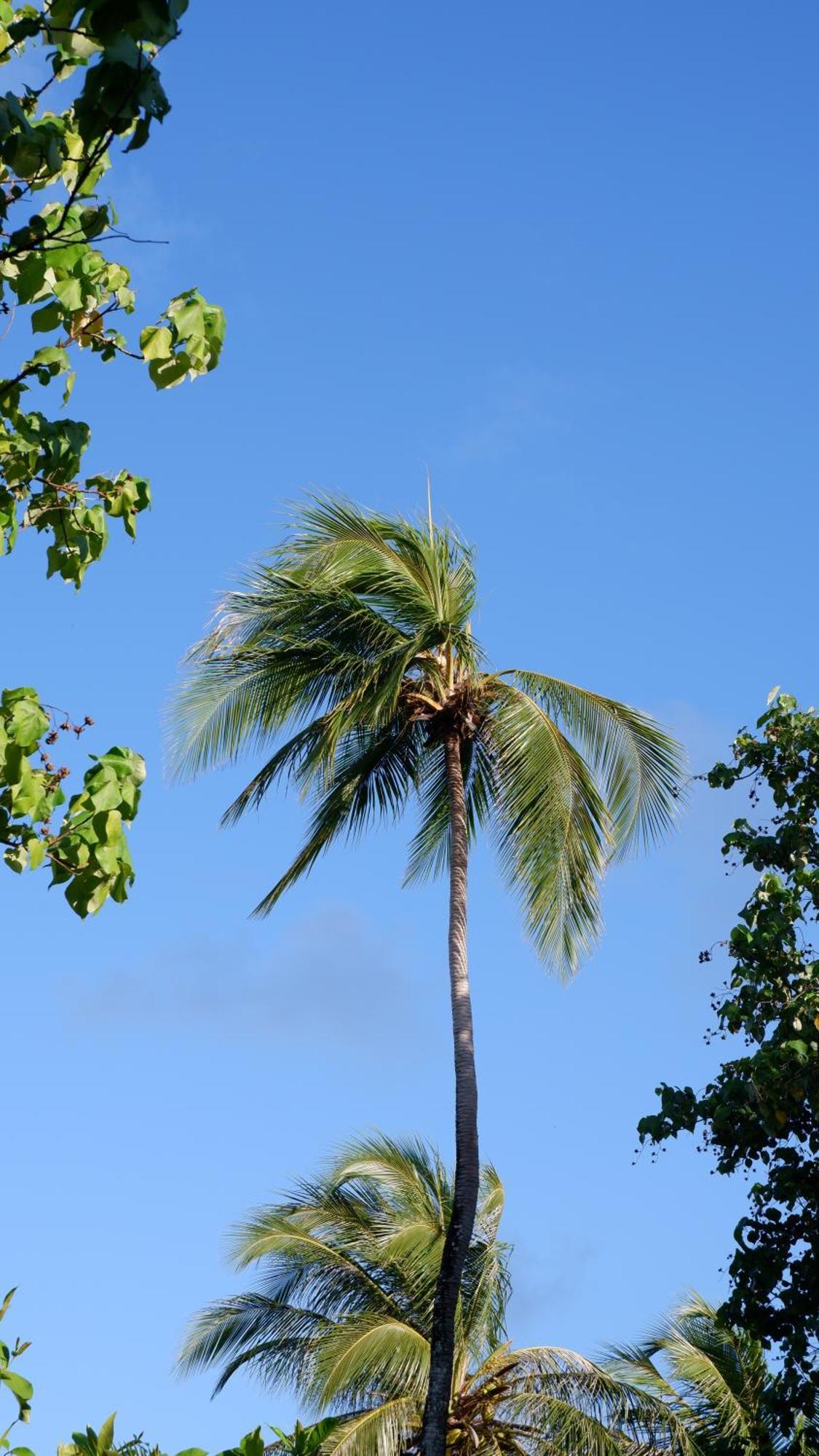 One The Island Naifaru Exterior foto